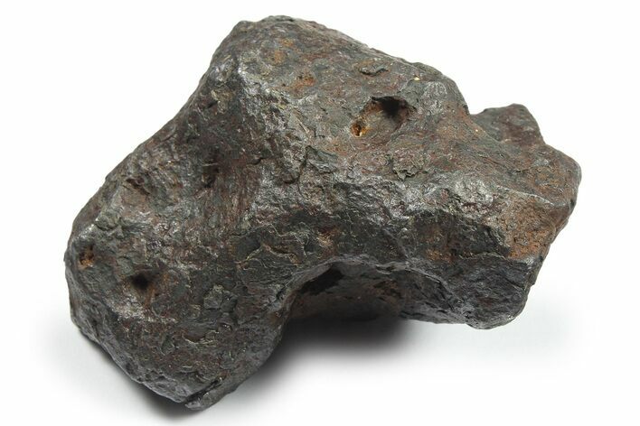 Campo del Cielo Iron Meteorite ( g) - Argentina #270480